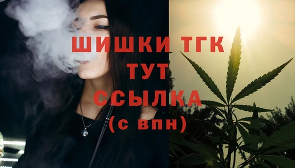 прущие грибы Ладушкин