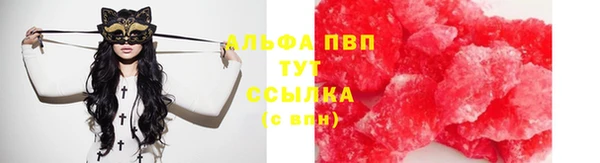 гашик Майский
