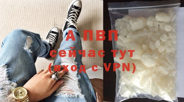 прущие грибы Ладушкин