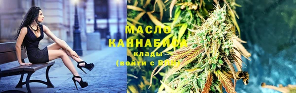 гашик Майский