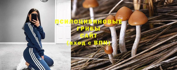 ECSTASY Лабытнанги