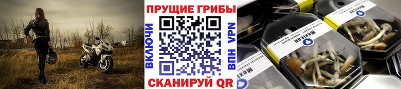 Галлюциногенные грибы мицелий  Липецк 