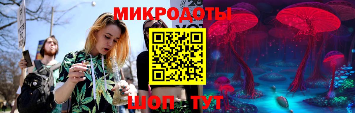Псилоцибиновые грибы GOLDEN TEACHER Липецк