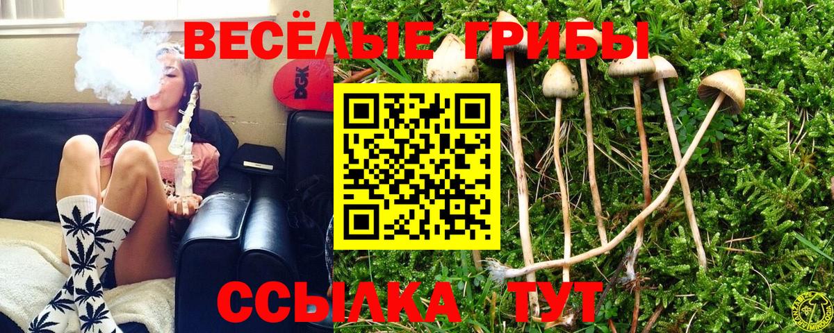Псилоцибиновые грибы Magic Shrooms  Вход с VPN  Псилоцибиновые грибы Psilocybe  Липецк 